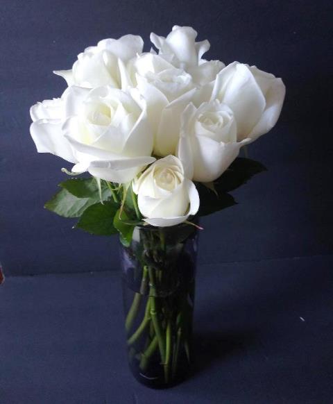 White roses flower arrangement to convey sympathy for the loss of a loved one. Boston delivery