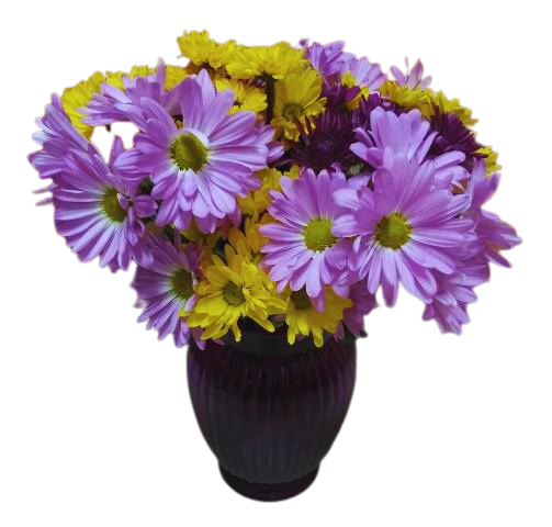 Happy Memories Daisy Arrangement - KJ Paula Gift Baskets