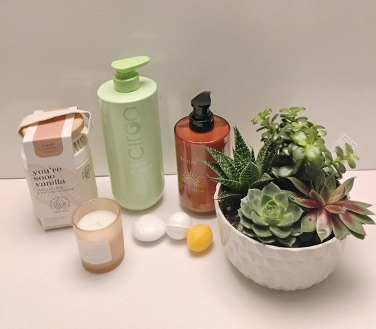 A collection of luxury spa items, and a ceramics planter filled with exotic succulent plants display on a white and grew surface.  
