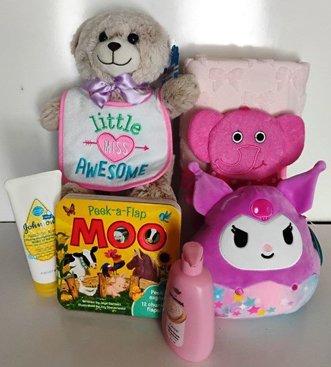 Baby Girl Gift Set Gift Basket Boston MA - KJ Paula Gift Baskets