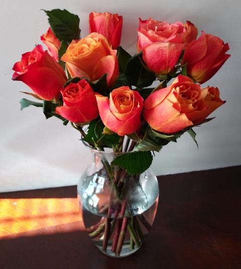 Long Stem Red Roses For Delivery - KJ Paula Gift Baskets