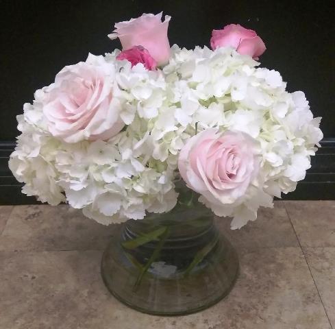 Hydrangea arrangement for daily delivery in Boston, MA., for a birthday or thank you gift.